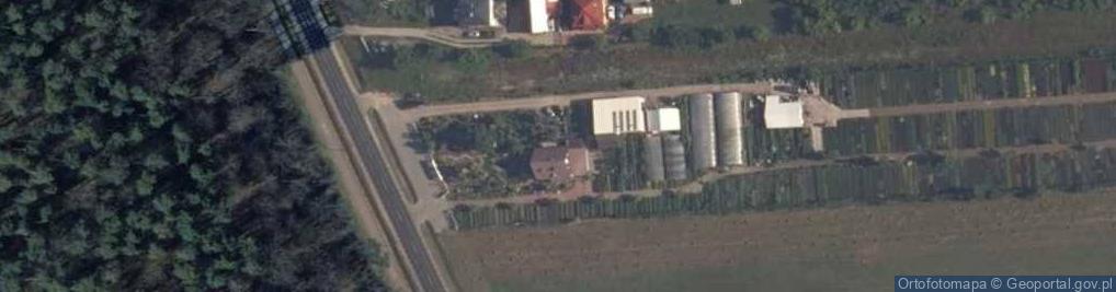 Zdjęcie satelitarne Szkółka krzewów ozdobnych M.M Grzelak