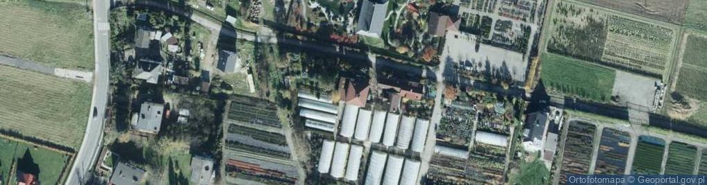 Zdjęcie satelitarne Szkółka Krzewów Ozdobnych Ogrody japońskie Antoni Pudełko