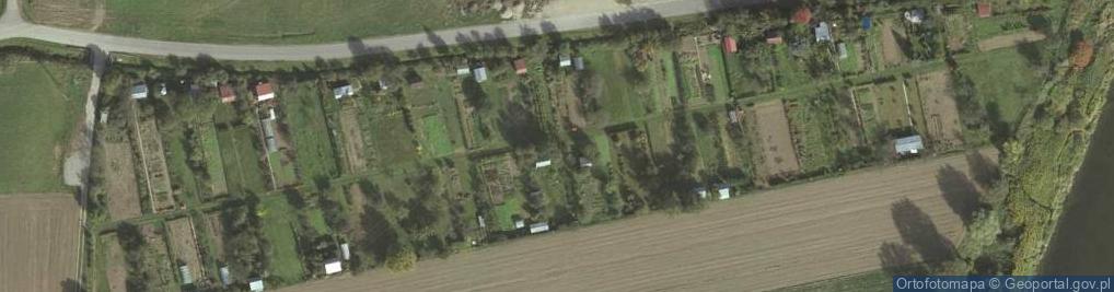 Zdjęcie satelitarne Ogród działkowy Błonie
