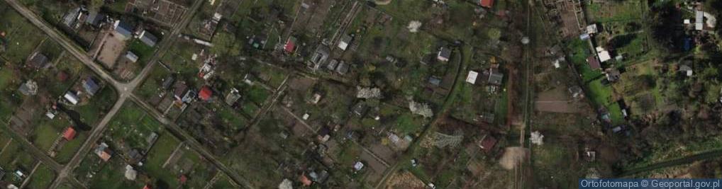 Zdjęcie satelitarne Ogródki Działkowe im. Obrońców Westerplatte