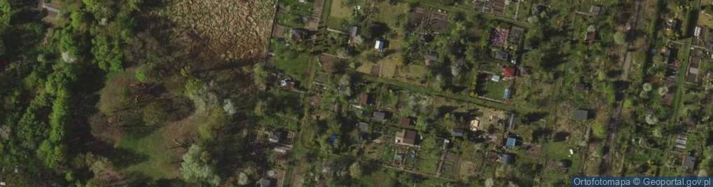Zdjęcie satelitarne Pracownicze Ogródki Działkowe Czerwone Maki