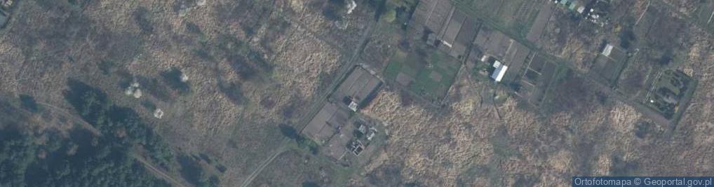 Zdjęcie satelitarne Rodzinne Ogrody Działkowe w Rzepinie