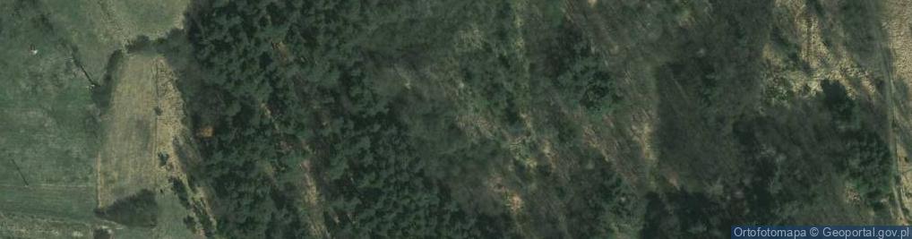 Zdjęcie satelitarne ORLEN Paczka Punkty