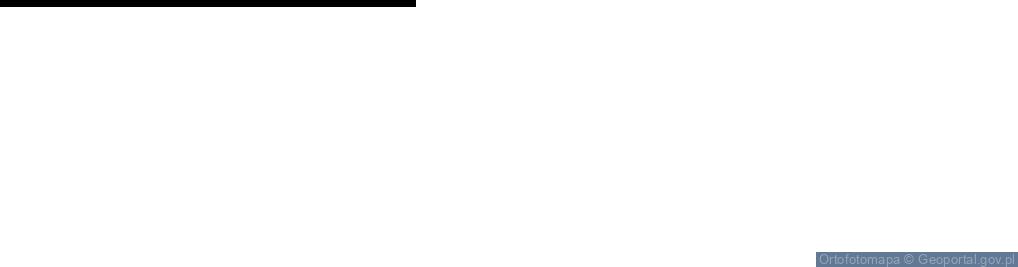 Zdjęcie satelitarne ORLEN Paczka Punkty