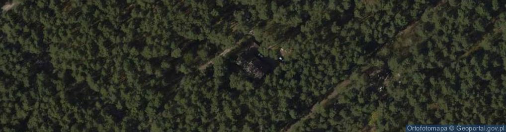 Zdjęcie satelitarne Mazowiecki Zespół Parków Krajobrazowych