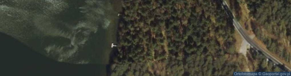 Zdjęcie satelitarne Camping leśny - tanio
