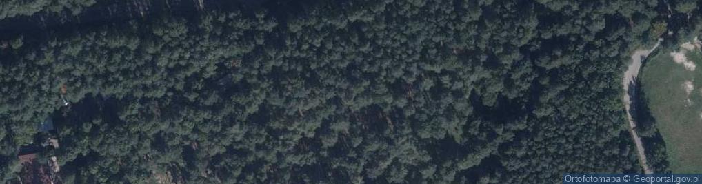 Zdjęcie satelitarne Ośrodek wypoczynkowy "Leśna Ryba"