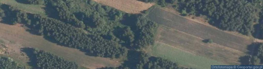 Zdjęcie satelitarne Żwirownia Pałczew