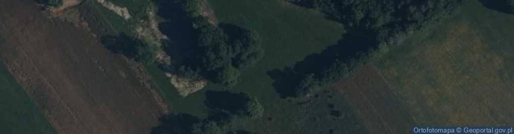 Zdjęcie satelitarne Dwór Starzeńskich