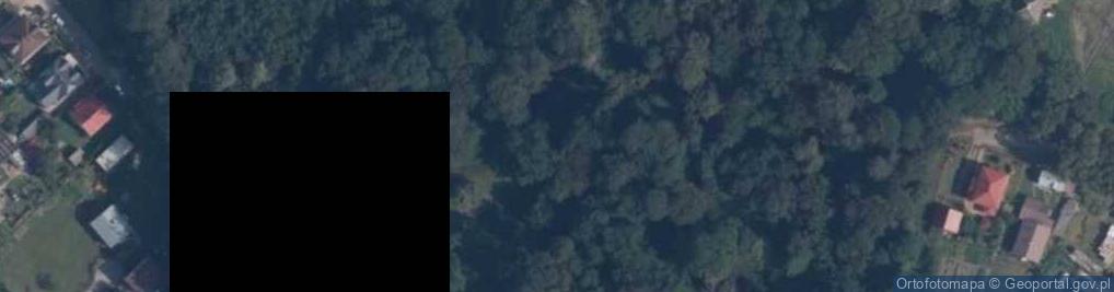 Zdjęcie satelitarne Dwór Stefana Mieczkowskiego