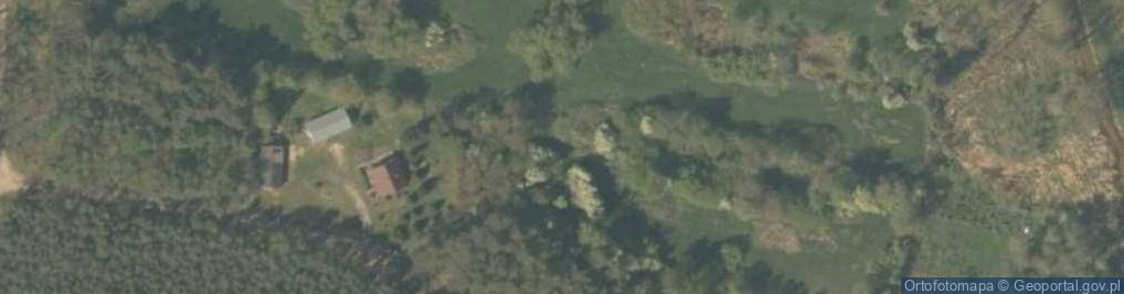 Zdjęcie satelitarne Dwór Tarnowskich