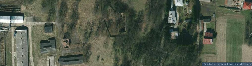 Zdjęcie satelitarne Dwór w Januszkowicach