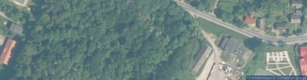 Zdjęcie satelitarne Dwór w Ryczowie