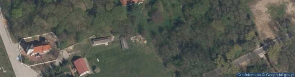 Zdjęcie satelitarne Dwór Zapolskich w Chojnem