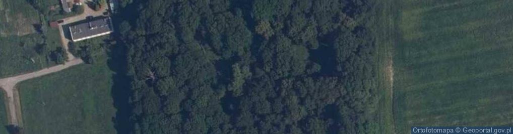 Zdjęcie satelitarne Dwór Żychlińskich