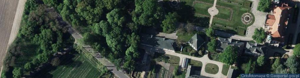 Zdjęcie satelitarne Muzeum Zamoyskich