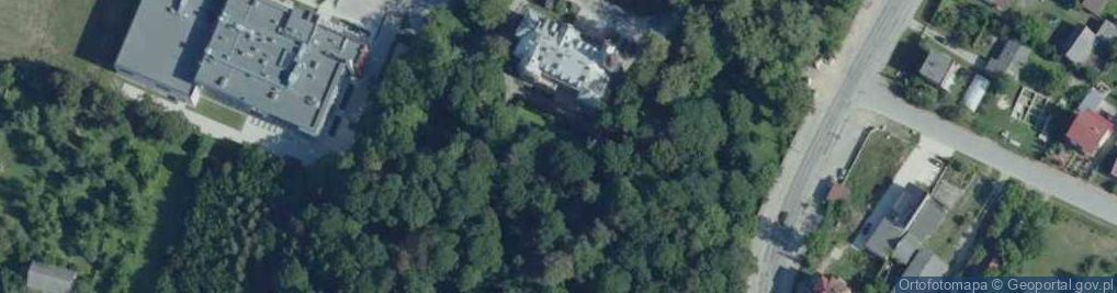 Zdjęcie satelitarne Pałac Dobieckich