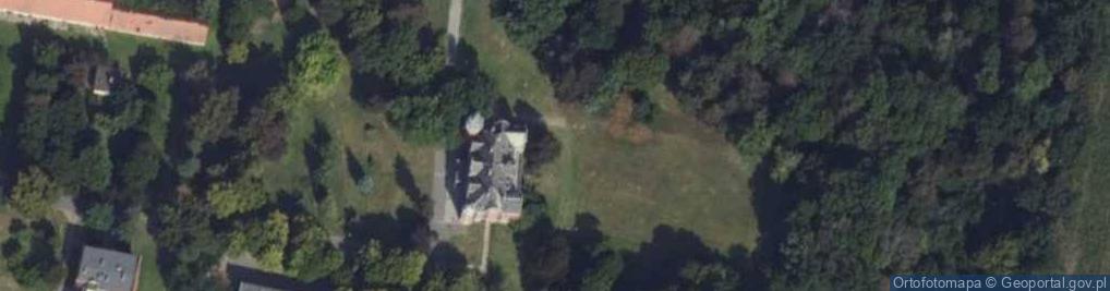 Zdjęcie satelitarne Pałac dr Eli Cohna (Carsta)