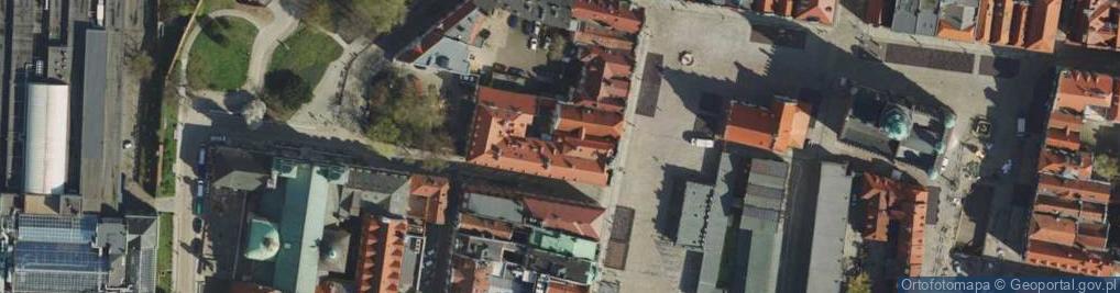 Zdjęcie satelitarne Pałac Działyńskich