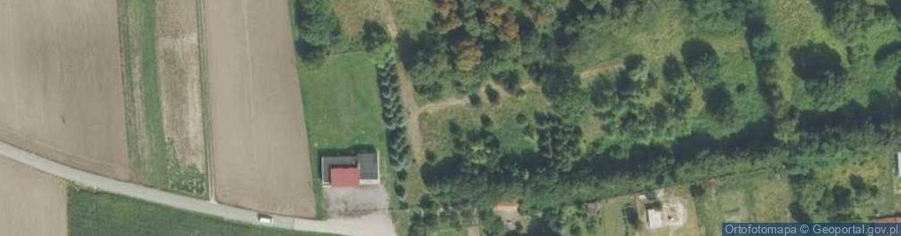 Zdjęcie satelitarne Pałac Ludwika Felicjana Morstina,