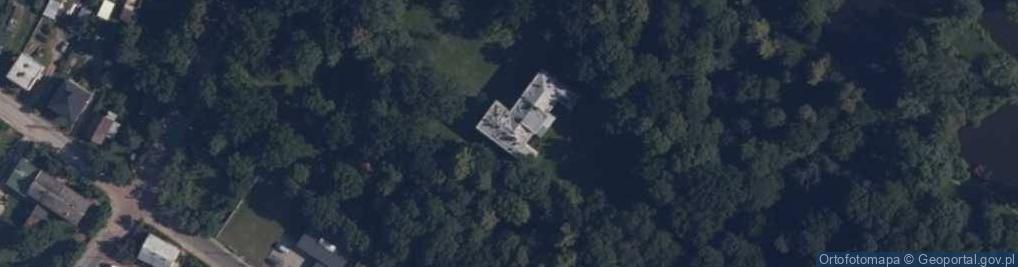 Zdjęcie satelitarne Pałac Wodzińskich (nowy)