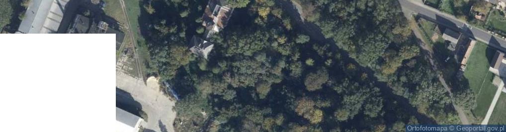 Zdjęcie satelitarne Pałac z 1888r. Własność Rohrów