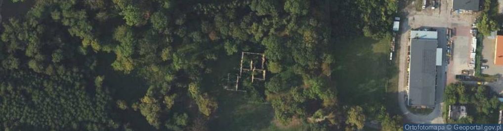 Zdjęcie satelitarne Ruiny dworu