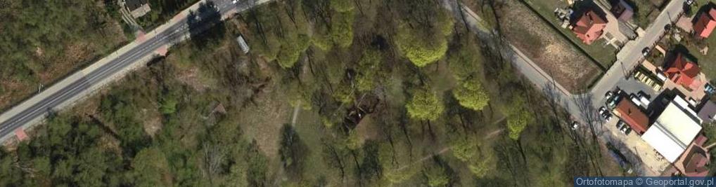 Zdjęcie satelitarne Ruiny pałacu rodziny Łubieńskich
