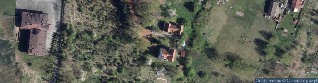Zdjęcie satelitarne Winna Góra