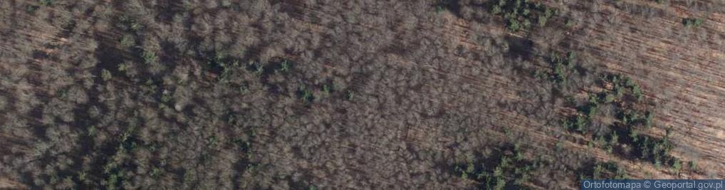 Zdjęcie satelitarne Góry Sowie