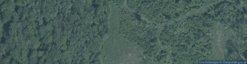 Zdjęcie satelitarne Park Krajobrazowy Dolina Bystrzycy