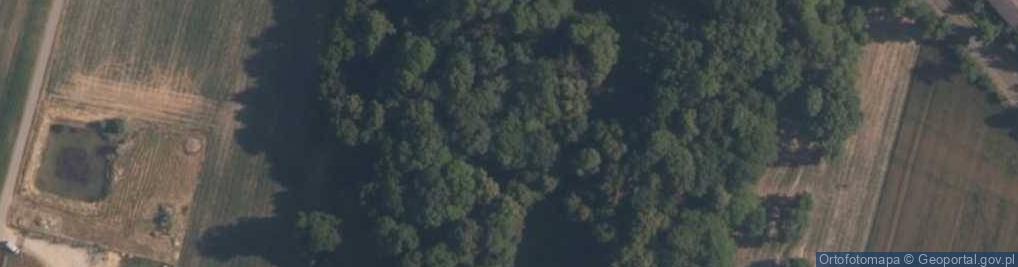 Zdjęcie satelitarne Park krajobrazowy