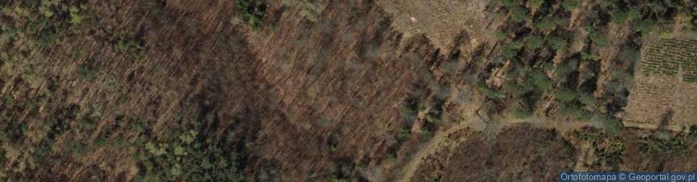 Zdjęcie satelitarne Park Krajobrazowy