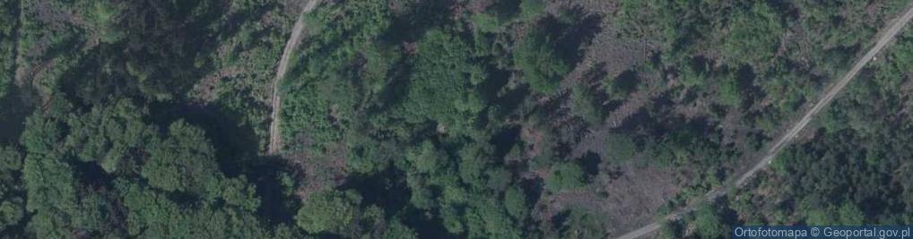 Zdjęcie satelitarne Ślężański Park Krajobrazowy