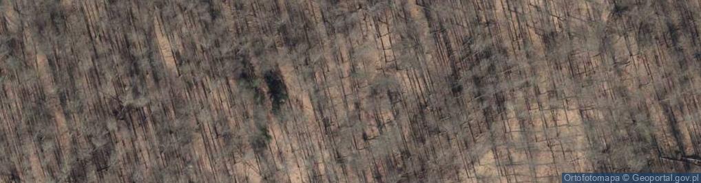 Zdjęcie satelitarne Szczeciński Park Krajobrazowy - Puszcza Bukowa