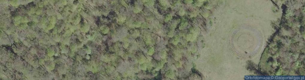 Zdjęcie satelitarne Bażanciarnia