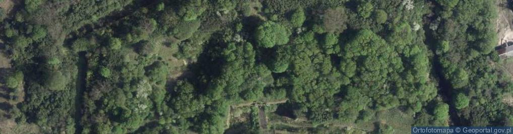 Zdjęcie satelitarne Fort Karola Chodkiewicza