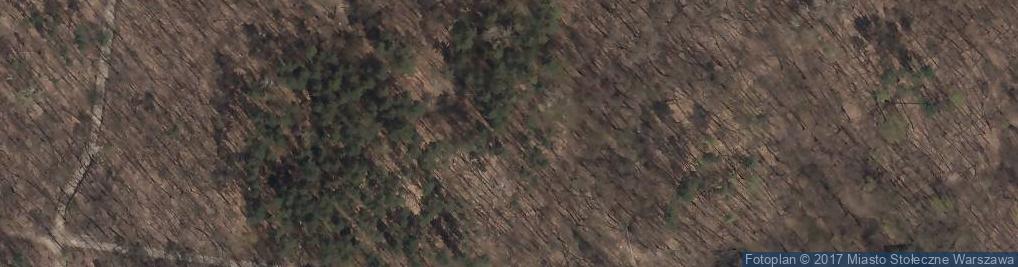 Zdjęcie satelitarne Lasek na Kole