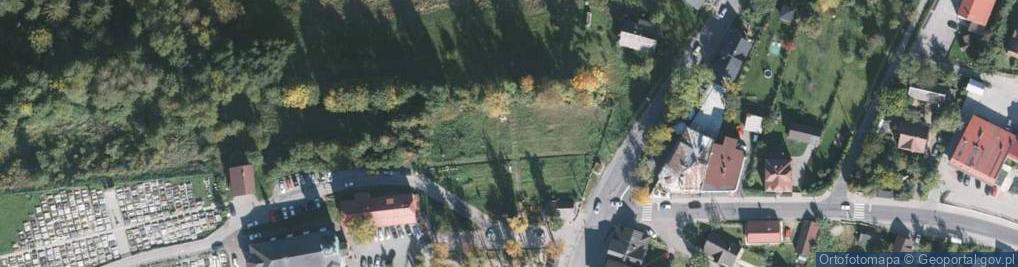 Zdjęcie satelitarne Mały Park