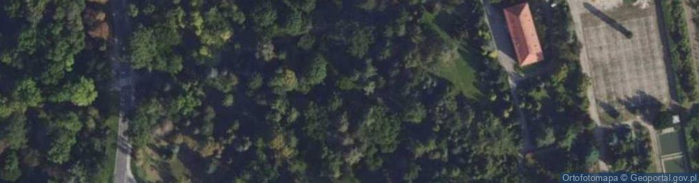 Zdjęcie satelitarne Nowe Arboretum