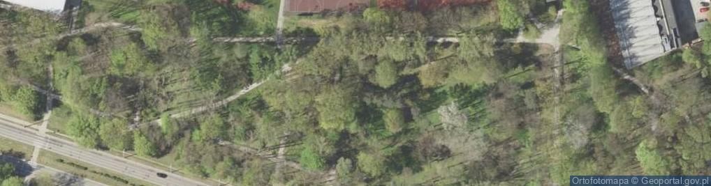Zdjęcie satelitarne Park Akademicki