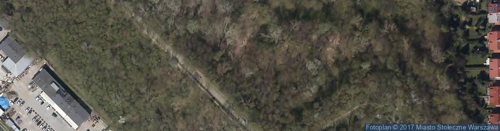 Zdjęcie satelitarne Park Akcji Burza