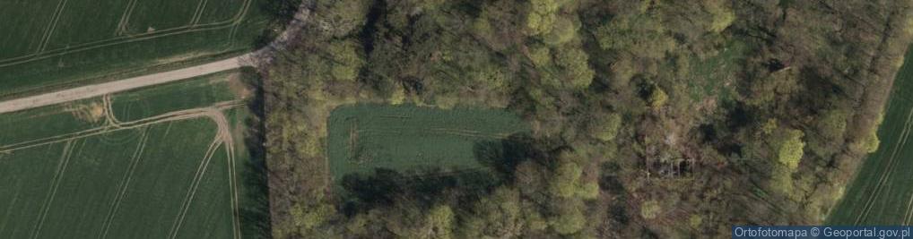 Zdjęcie satelitarne Park dworski