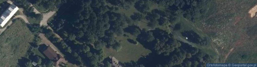 Zdjęcie satelitarne Park Dworski