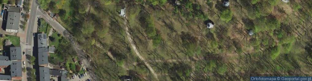 Zdjęcie satelitarne Park Góra Kalwaria