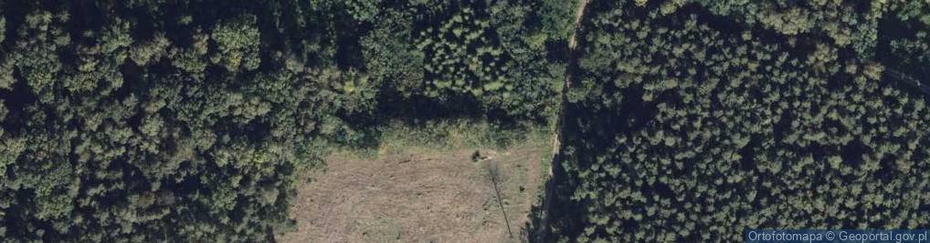 Zdjęcie satelitarne Park Górny