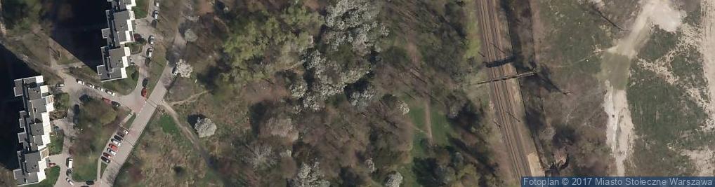 Zdjęcie satelitarne Park im. Anieli Krzywoń