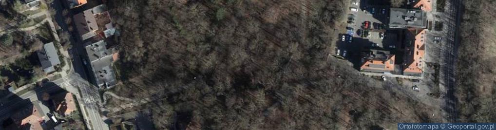 Zdjęcie satelitarne Park im. Henryka Siemiradzkiego