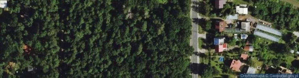 Zdjęcie satelitarne Park im. Lasockiego Michała