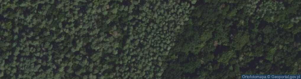 Zdjęcie satelitarne Park im. Stanisława Staszica